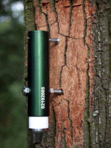 Point Dendrometer